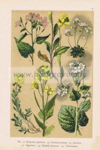 Фотография 0006.jpg