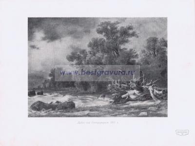 Фотография 0216.jpg