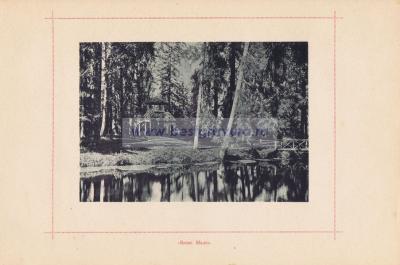 Фотография 0021.jpg