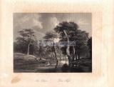 Фотография 0132.jpg
