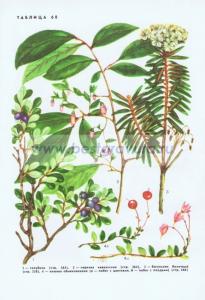 Фотография 0260.jpg