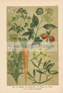 Фотография 0026.jpg