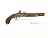 Springfield 1817