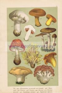 Фотография 0079.jpg