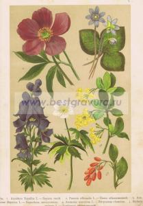 Фотография 0003.jpg