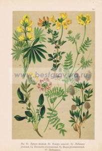 Фотография 0015.jpg