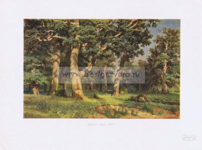 Фотография 0209.jpg