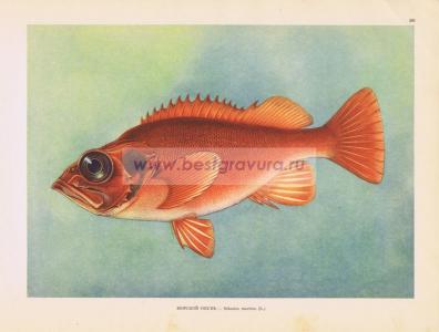 Фотография 0201.jpg