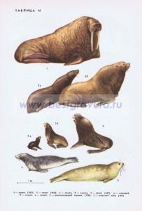 Фотография 0214.jpg