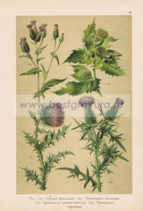 Фотография 0035.jpg