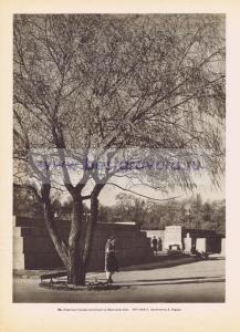 Фотография 0094.jpg