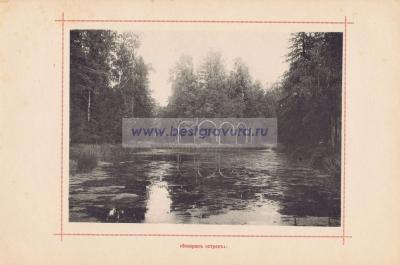 Фотография 0020.jpg