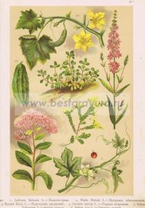 Фотография 0027.jpg