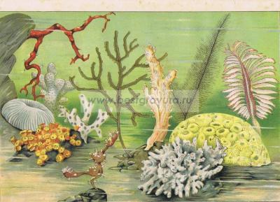 Фотография 0007.jpg