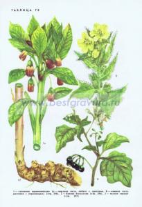 Фотография 0270.jpg