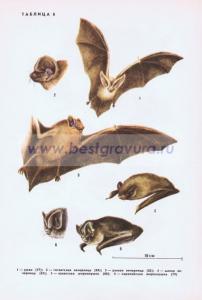 Фотография 0206.jpg