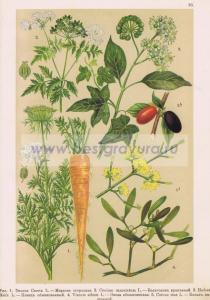 Фотография 0030.jpg