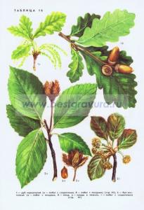 Фотография 0216.jpg