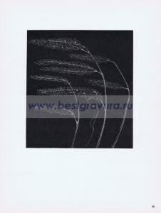 Фотография 0033.jpg