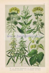 Фотография 0059.jpg