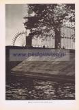 Фотография 0103.jpg