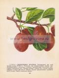 Фотография 0138.jpg