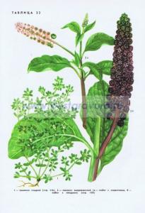 Фотография 0222.jpg