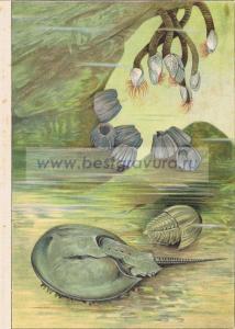 Фотография 0006.jpg