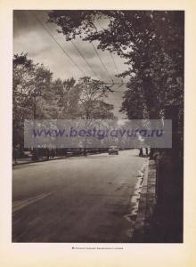 Фотография 0091.jpg