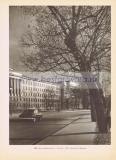 Фотография 0205.jpg