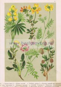 Фотография 0017.jpg