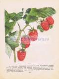 Фотография 0189.jpg