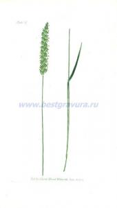 Фотография 0005.jpg