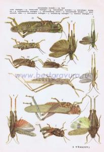 Фотография 0008.jpg