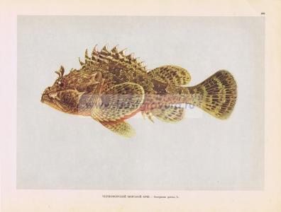 Фотография 0203.jpg