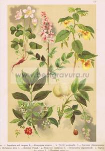 Фотография 0014.jpg