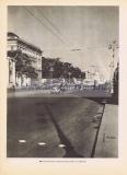Фотография 0150.jpg