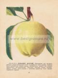 Фотография 0010.jpg