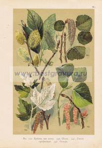 Фотография 0063.jpg