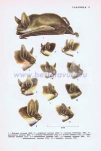 Фотография 0205.jpg