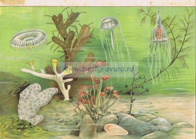 Фотография 0011.jpg