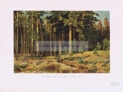 Фотография 0215.jpg