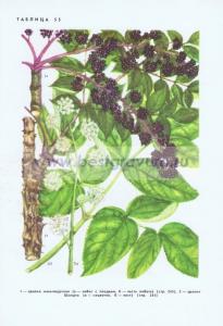 Фотография 0255.jpg