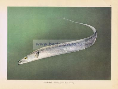 Фотография 0192.jpg