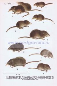 Фотография 0202.jpg