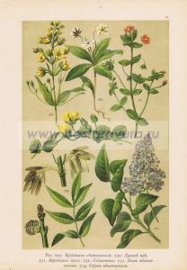 Фотография 0044.jpg