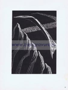 Фотография 0021.jpg