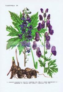 Фотография 0226.jpg