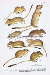 Фотография 0235.jpg