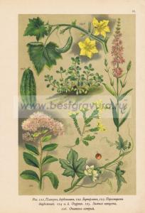 Фотография 0023.jpg